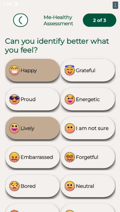 Employee Mood Survey Application Screenshot 1